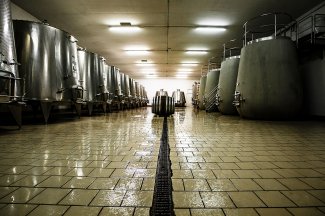 WINE DINE & SHINE - Castello del Terriccio ( Tuscany )