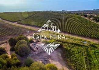 WINE DINE & SHINE - Wine Tasting with Capichera ( Sardinia )