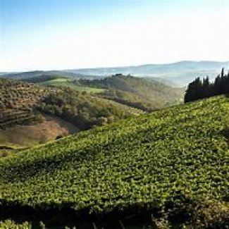 WINE DINE & SHINE - Wine Tasting Rocca di Castagnoli Chianti Classico ( Tuscany )
