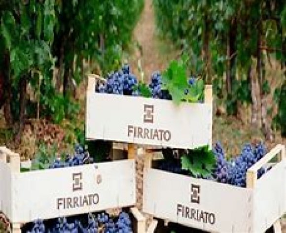 WINE DINE & SHINE - Wine Tasting Firriato ( Sicily )
