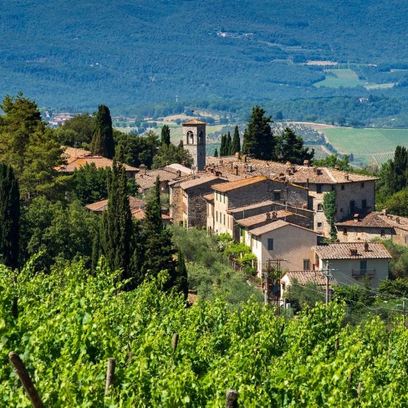 WINE DINE & SHINE - Degustazione Fonterutoli Chianti ( Toscana )