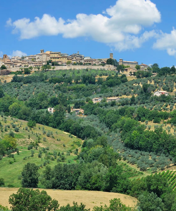 WINE DINE & SHINE - Degustazione Goretti Montefalco ( Umbria )