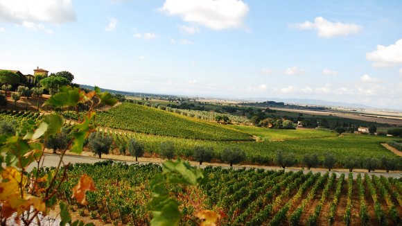 WINE DINE & SHINE - Wine Tasting with Petra Suvereto ( Tuscany )