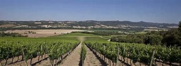 WINE DINE & SHINE - Degustazione Pian delle Vigne Montalcino ( Toscana )