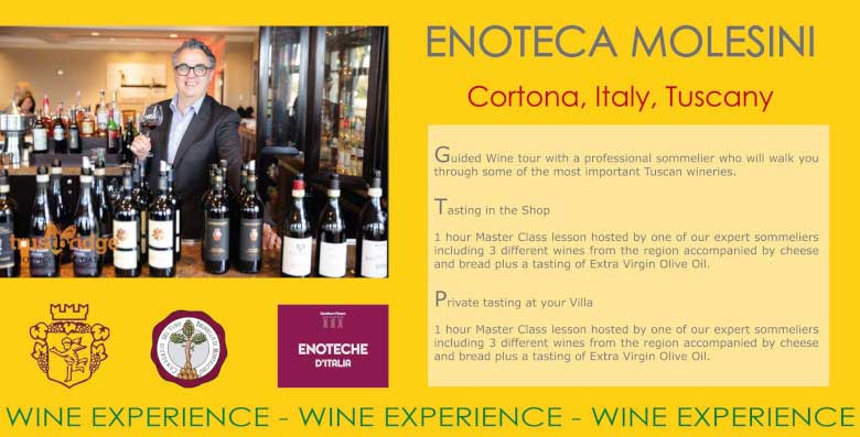 Wine Tour with Marco Molesini