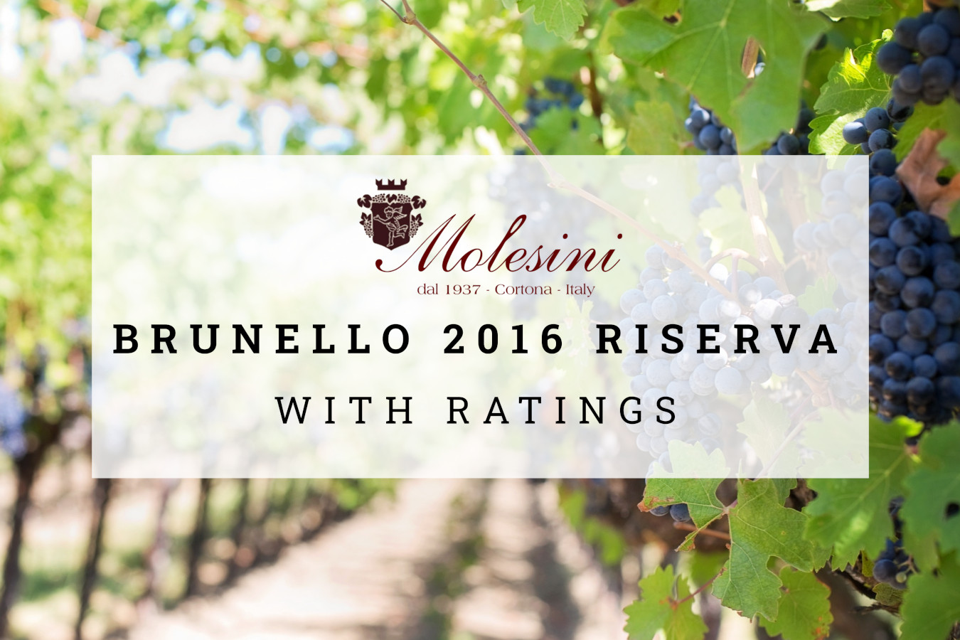 Offerta Brunello 2016 Riserva