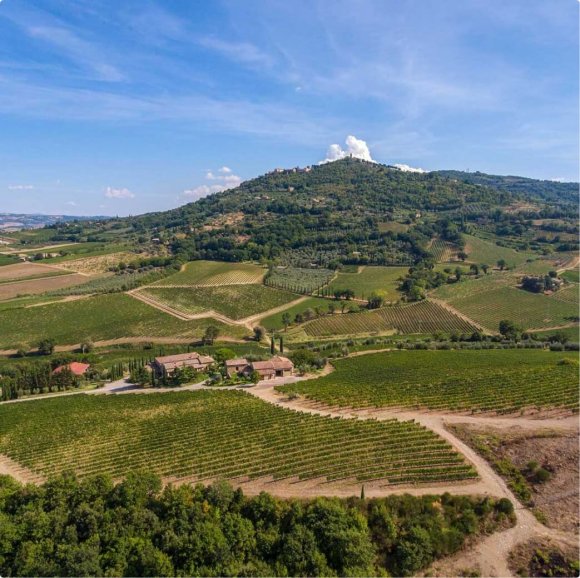 Molesini Wine Dine & Shine