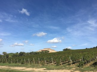 WINE DINE & SHINE - Wine Tasting with Argentiera from Bolgheri ( Tuscany )