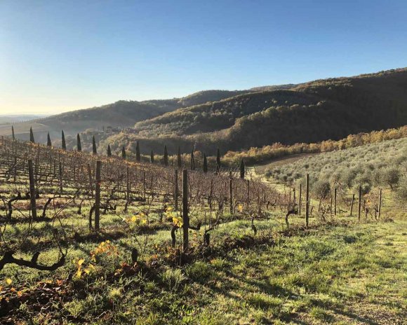Molesini Wine Dine & Shine