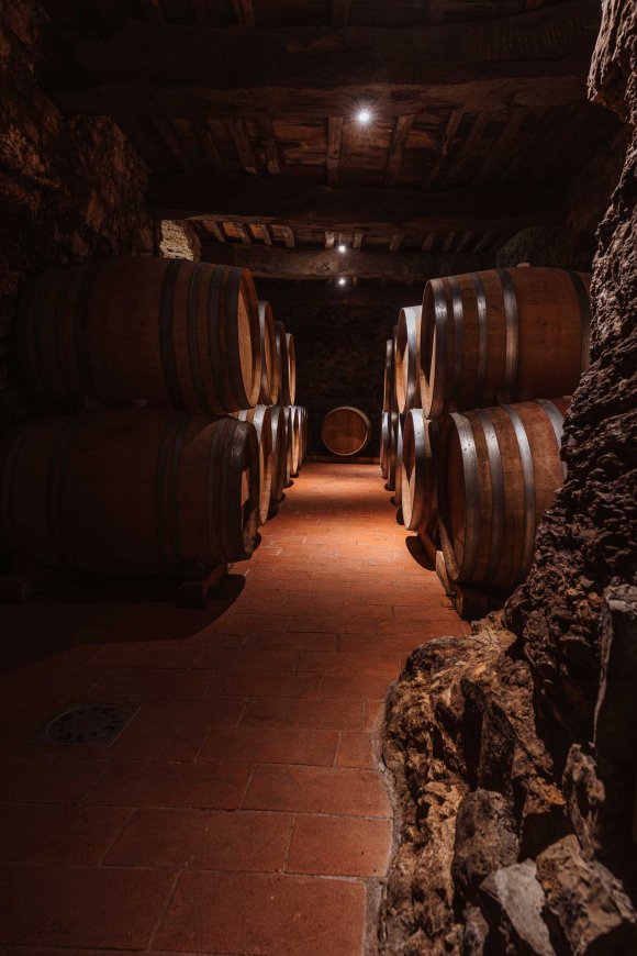 Molesini Wine Dine & Shine