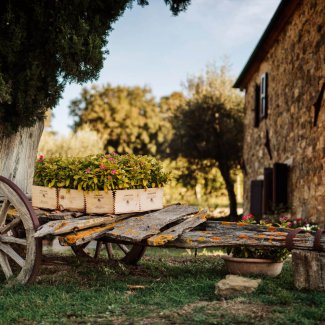 WINE DINE & SHINE - Wine Tasting with Cotarella from Montalcino ( Tuscany )