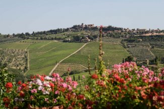 WINE DINE & SHINE - Wine Tasting with Fontodi from Chianti Classico ( Tuscany )