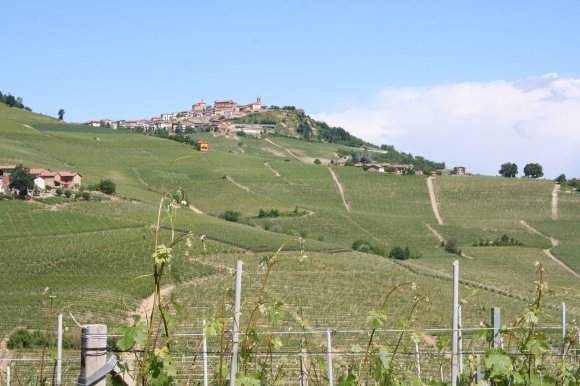 Molesini Wine Dine & Shine