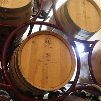 WINE DINE & SHINE - Wine Tasting with Terre del Marchesato from Bolgheri ( Tuscany )
