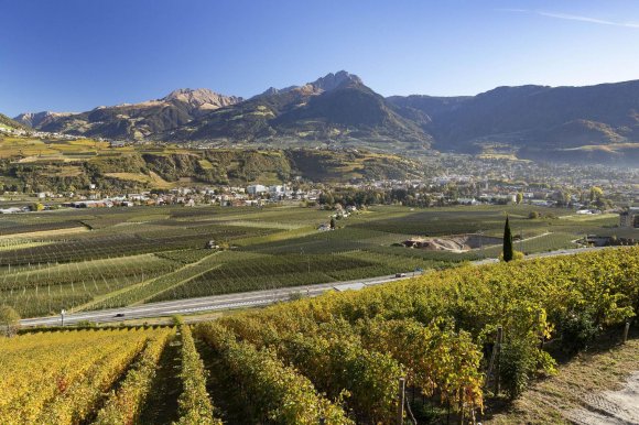 Molesini Wine Dine & Shine