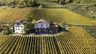 WINE DINE & SHINE - Wine Tasting with Ploner from ( Alto Adige )