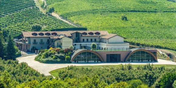 Molesini Wine Dine & Shine