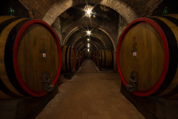 Molesini Wine Dine & Shine