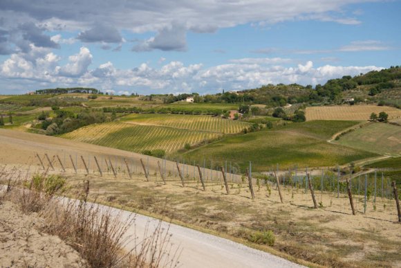 Molesini Wine Dine & Shine