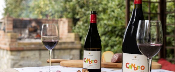 Molesini Wine Dine & Shine