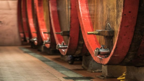 Molesini Wine Dine & Shine